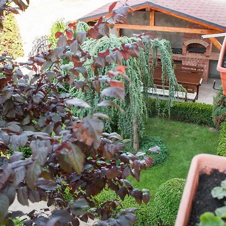 Guest house Vila Ariana *