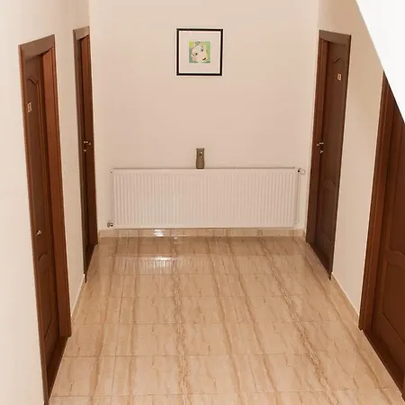 Guest house Vila Ariana *